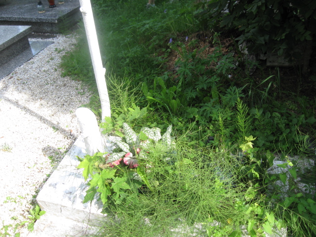 Zofia Martenson 1926 Kłodzko - Grobonet - Wyszukiwarka osób pochowanych