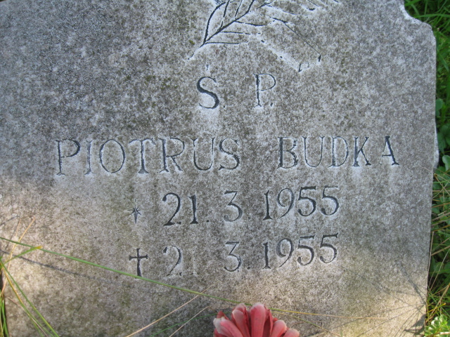 Piotr Budka 1955 Kłodzko - Grobonet - Wyszukiwarka osób pochowanych