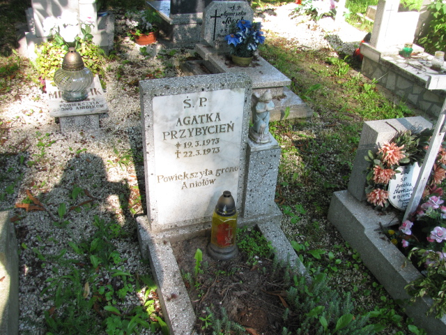 Michał Kasperski 1941 Kłodzko - Grobonet - Wyszukiwarka osób pochowanych