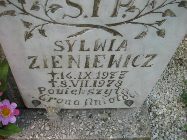 Piotr Wrona 1966 Kłodzko - Grobonet - Wyszukiwarka osób pochowanych