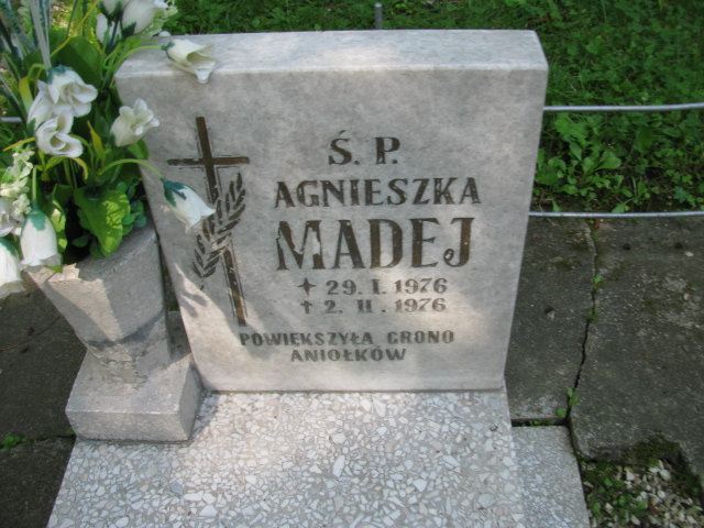 Agnieszka Madej 1976 Kłodzko - Grobonet - Wyszukiwarka osób pochowanych