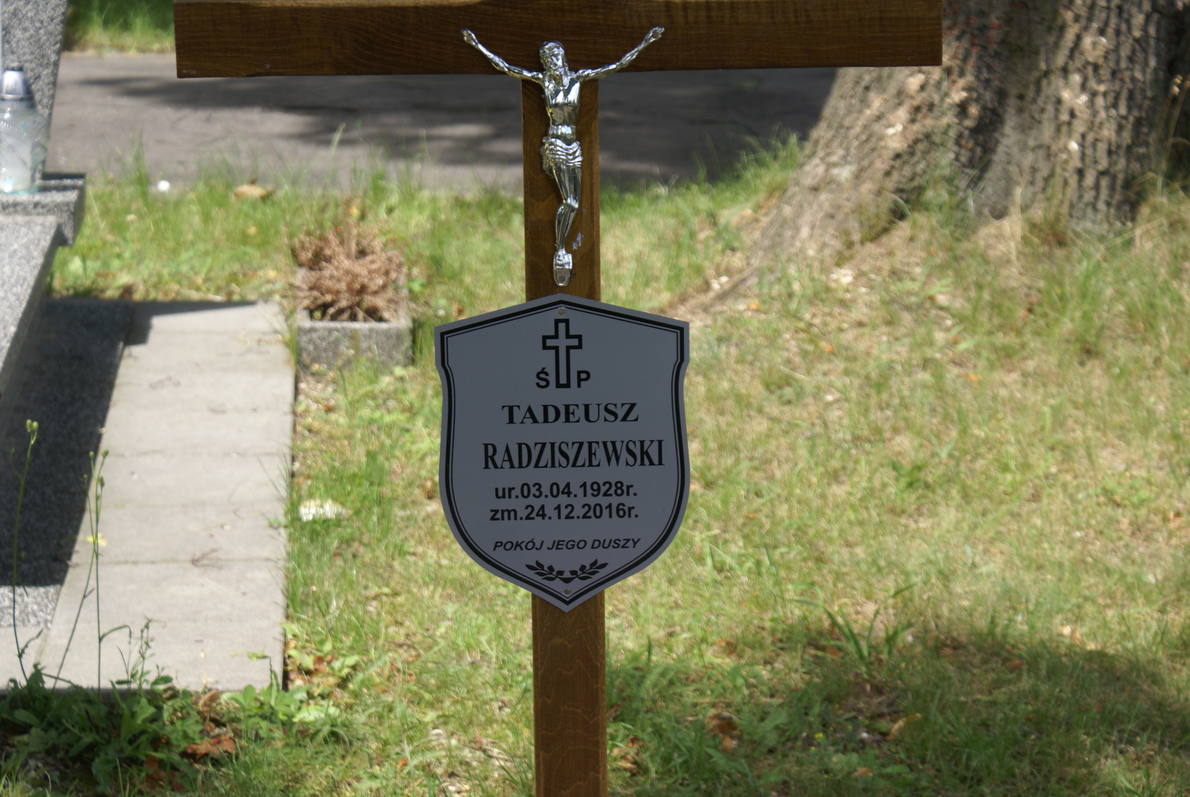 Józefa Radziszewska 1926 Kłodzko - Grobonet - Wyszukiwarka osób pochowanych