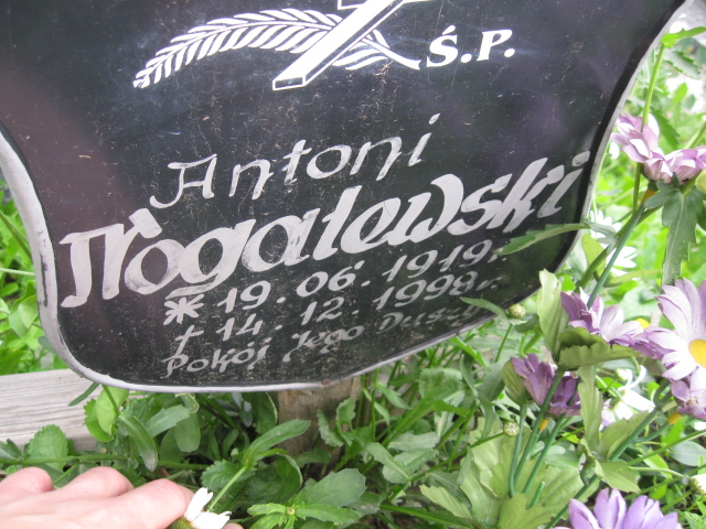 Antoni Nogalewski 1919 Kłodzko - Grobonet - Wyszukiwarka osób pochowanych