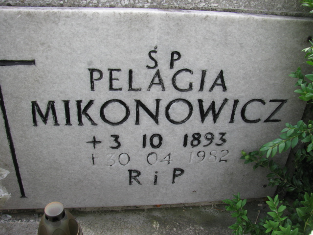 Pelagia Mikonowicz 1893 Kłodzko - Grobonet - Wyszukiwarka osób pochowanych