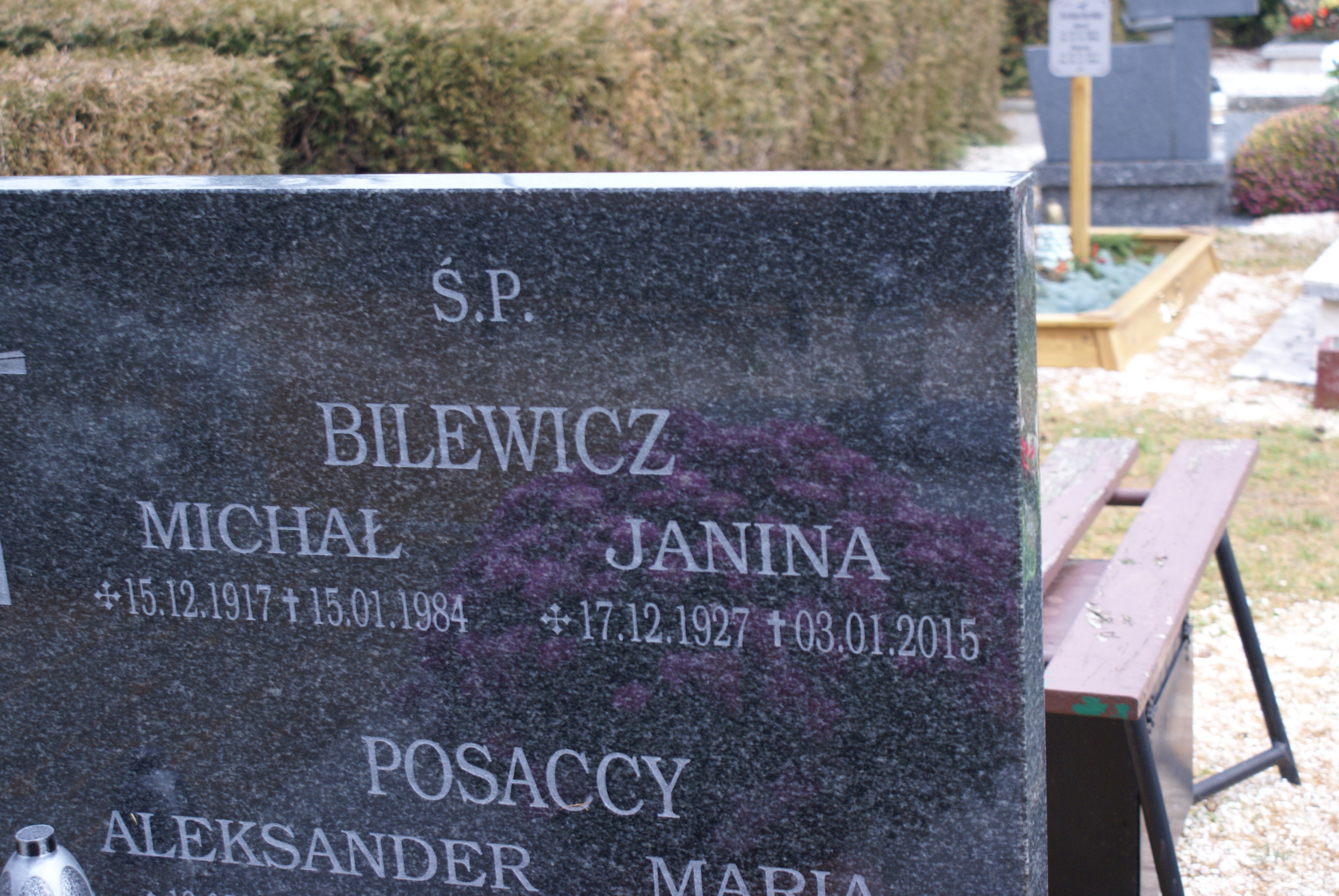 Aleksandra Bilewicz -Lewczuk 1950 Kłodzko - Grobonet - Wyszukiwarka osób pochowanych