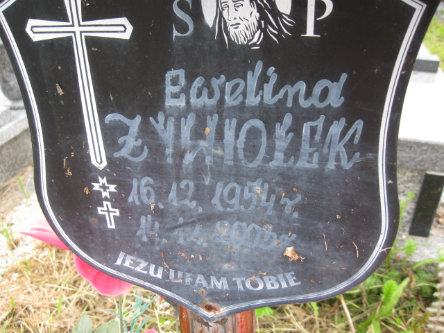 Ewelina Żywiołek 1954 Kłodzko - Grobonet - Wyszukiwarka osób pochowanych