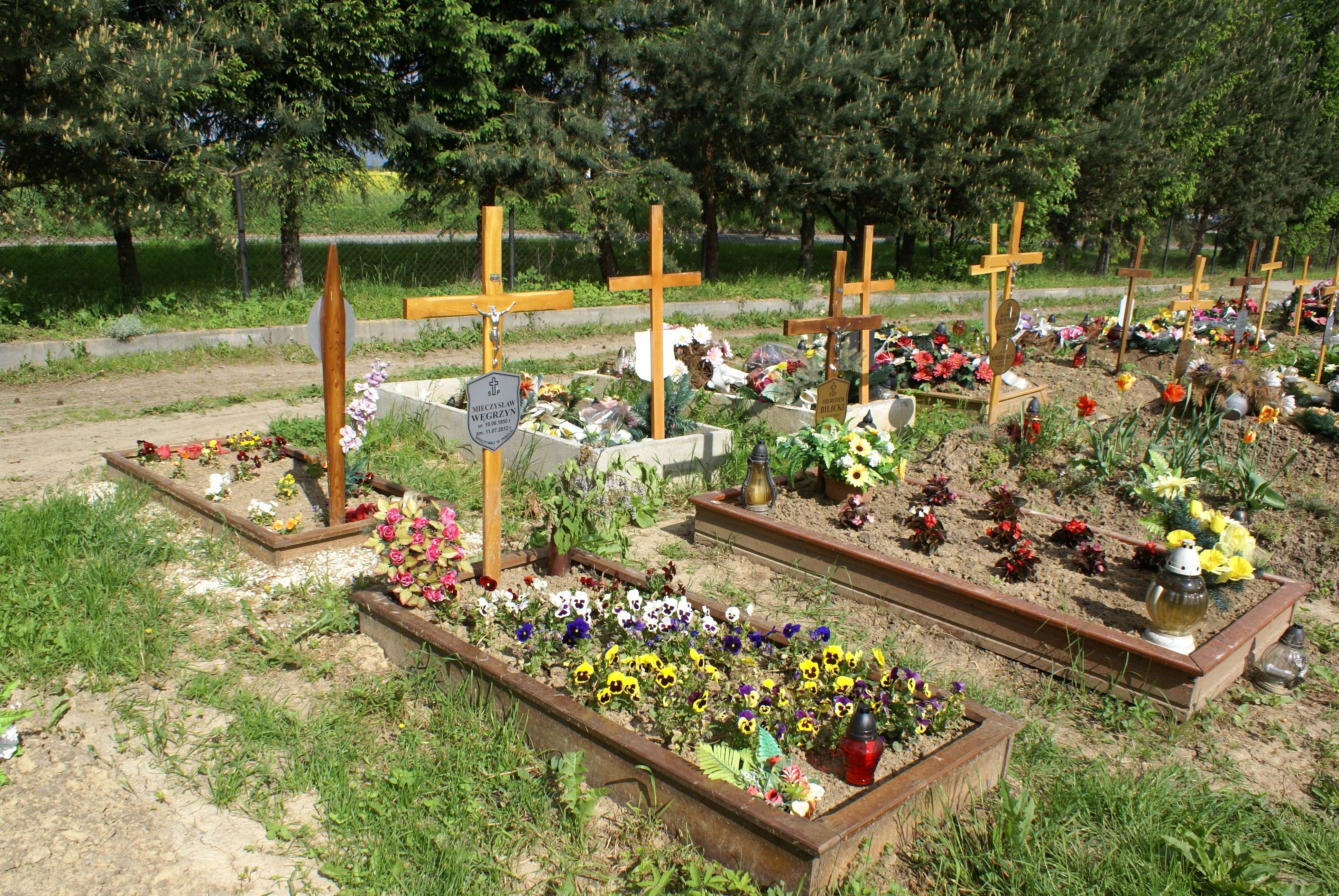 Mieczysław Węgrzyn 1950 Kłodzko - Grobonet - Wyszukiwarka osób pochowanych