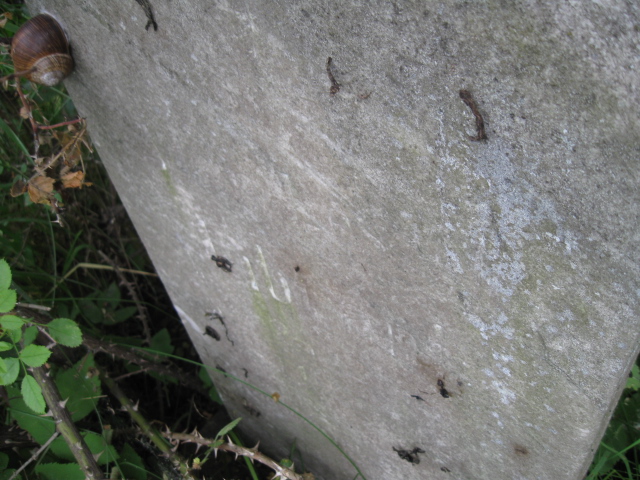 Leszek … brant 1948 Kłodzko - Grobonet - Wyszukiwarka osób pochowanych