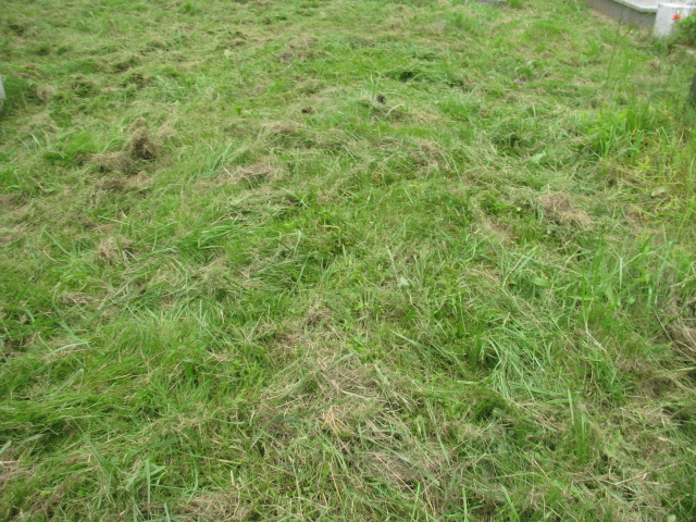 Józef Mróz  1954 Kłodzko - Grobonet - Wyszukiwarka osób pochowanych